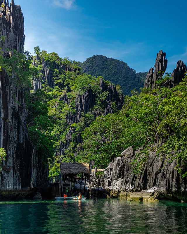 Rock Formations and Forest on Sea Coast